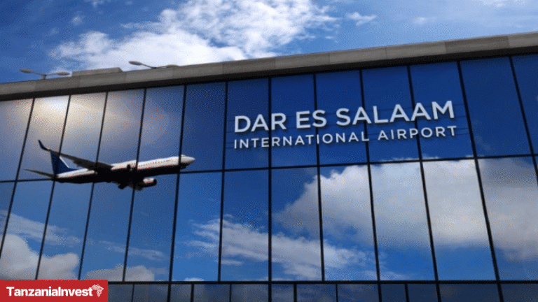 Tanzania Julius Nyerere Dar es Salaam Airport