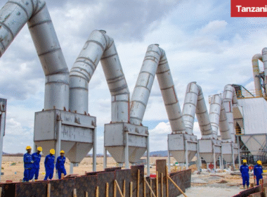 Tanzania Nickel Copper Processing Plant Dodoma works