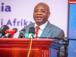 Kitila Mkumbo Tanzania Minister of State in the President Office for Planning and Investment