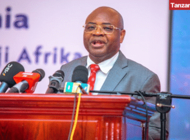 Kitila Mkumbo Tanzania Minister of State in the President Office for Planning and Investment