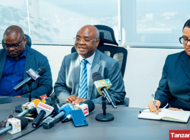 Kitila Mkumbo Tanzania Minister of State in the President Office for Planning and Investment Press