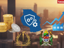 Tanzania BOT Government SME youth investment initiatives Credit Guarantee Company