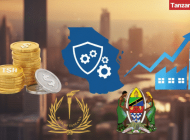 Tanzania BOT Government SME youth investment initiatives Credit Guarantee Company