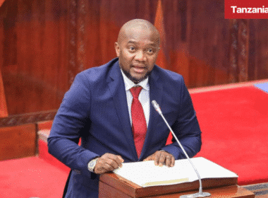 Tanzania Minister Health Mohamed Mchengerwa Parliament Bunge