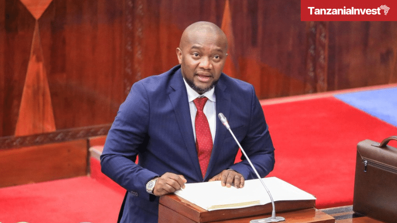 Tanzania Minister Health Mohamed Mchengerwa Parliament Bunge