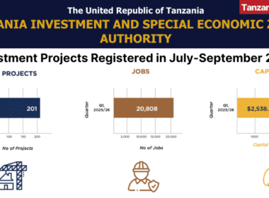 Tanzania TISEZA Investments Projects Q3 2025 July-September
