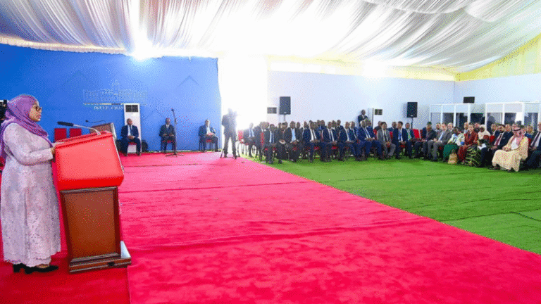 Samia Suluhu Hassan President of Tanzania Speech Diplomats Sovereign Pragmatism