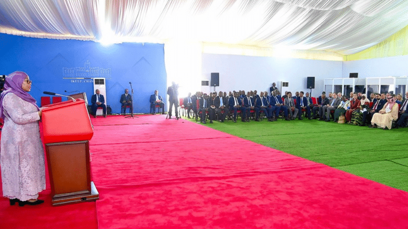 Samia Suluhu Hassan President of Tanzania Speech Diplomats Sovereign Pragmatism