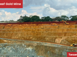Tanzania Buckreef Gold Mine TRX