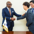 Tanzania Critical Minerals Technology Center South Korea meeting