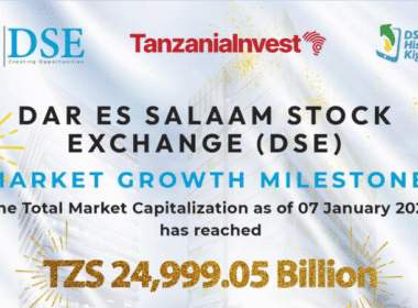 Tanzania DSE Dar es Salaam Stock Exchange Market Capitalization 2025