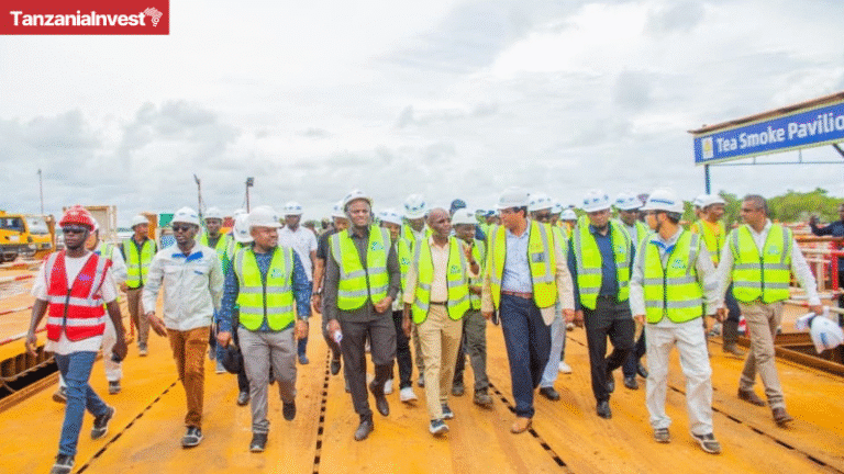 Tanzania Mgao Island cargo port construction update