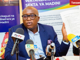 Tanzania Minerals Minister Mavunde Local Content List Good Services