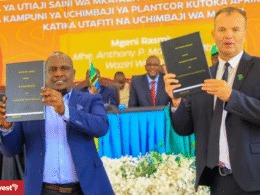 Tanzania Stamico South Africa Plantcor Sign Agreement Kigosi Gold Mining Project