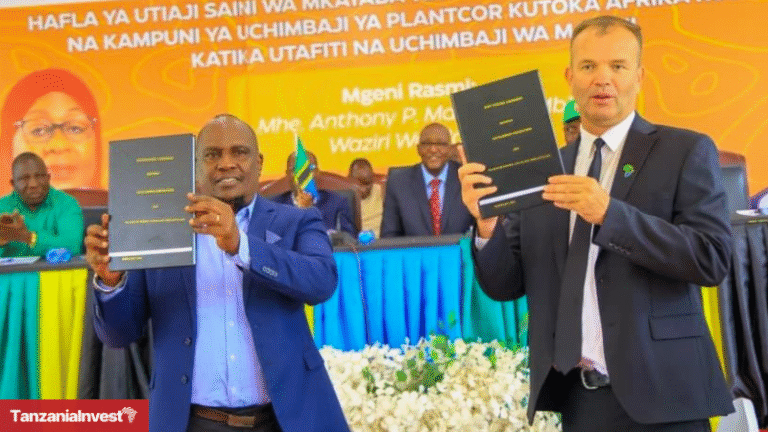 Tanzania Stamico South Africa Plantcor Sign Agreement Kigosi Gold Mining Project