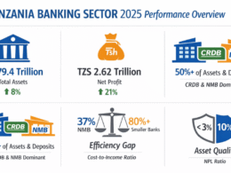 Tanzania banking sector performance 2025