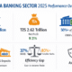 Tanzania banking sector performance 2025