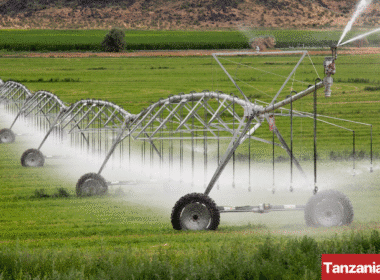 Tanzania Agriculture Irrigation