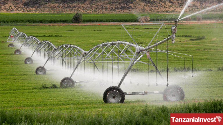 Tanzania Agriculture Irrigation