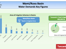 Tanzania Ruvu Basin key figures