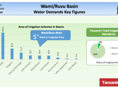 Tanzania Ruvu Basin key figures