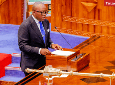 Anthony Mavunde Parliament Bunge