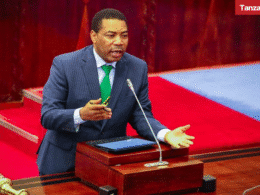 Tanzania Mwigulu Nchemba Parliament