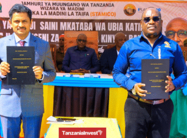 Tanzania STAMICO Planet One Agreement Graphite Licenses Mirerani