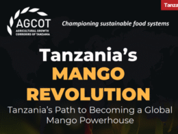 Tanzania mango report AGCOT