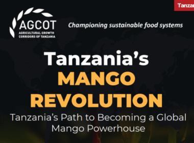Tanzania mango report AGCOT