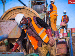 Tanzania mineral processing