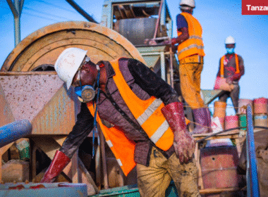 Tanzania mineral processing