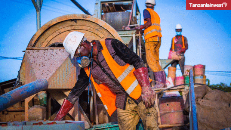 Tanzania mineral processing