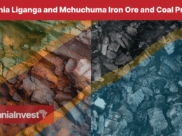 Tanzania Liganga and Mchuchuma Iron Ore and Coal Projects