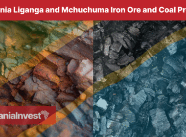 Tanzania Liganga and Mchuchuma Iron Ore and Coal Projects