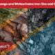 Tanzania Liganga and Mchuchuma Iron Ore and Coal Projects