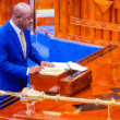 Tanzania Minister for Water Jumaa Aweso Parliament Bunge