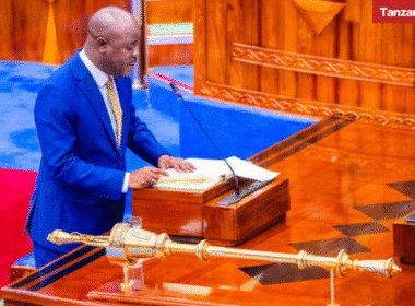 Tanzania Minister for Water Jumaa Aweso Parliament Bunge