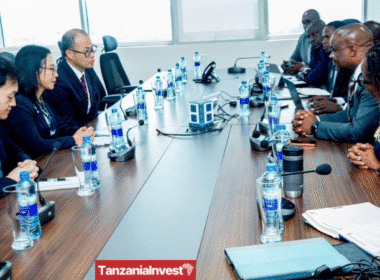 Tanzania Treasury Registrar Nehemiah Mchechu China Ambassador Chen Mingjian