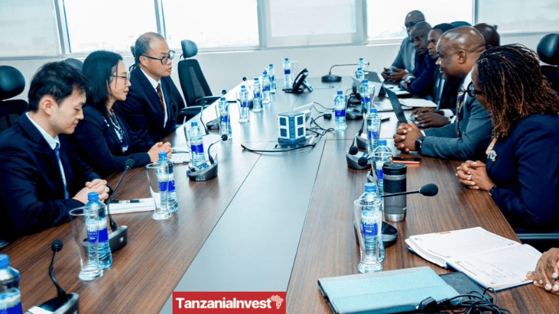 Tanzania Treasury Registrar Nehemiah Mchechu China Ambassador Chen Mingjian