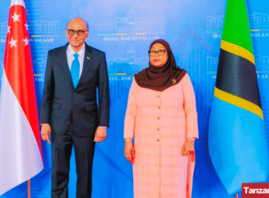 Samia Suluhu Hassan Tharman Shanmugaratnam
