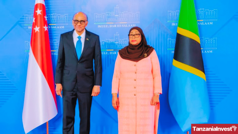 Samia Suluhu Hassan Tharman Shanmugaratnam