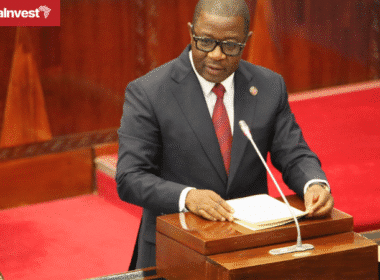 Tanzania Abdallah Ulega Parliament bunge