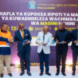 Tanzania Anthony Mavunde Kitila Mkumbo Small-Scale Miners Recommendations Report