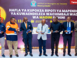 Tanzania Anthony Mavunde Kitila Mkumbo Small-Scale Miners Recommendations Report
