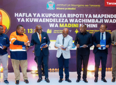 Tanzania Anthony Mavunde Kitila Mkumbo Small-Scale Miners Recommendations Report