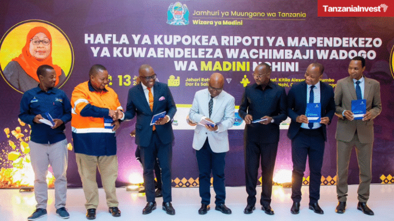 Tanzania Anthony Mavunde Kitila Mkumbo Small-Scale Miners Recommendations Report