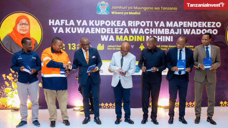 Tanzania Anthony Mavunde Kitila Mkumbo Small-Scale Miners Recommendations Report