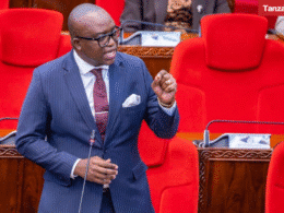 Tanzania Anthony Mavunde Parliament Bunge