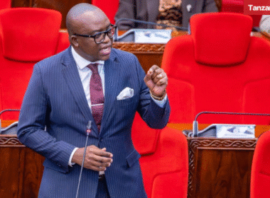 Tanzania Anthony Mavunde Parliament Bunge